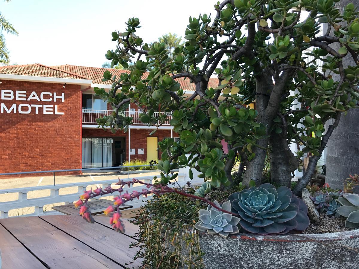 Thirroul Beach Motel Extérieur photo